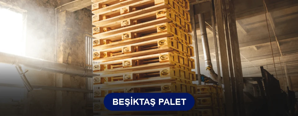Beşiktaş Paletçi