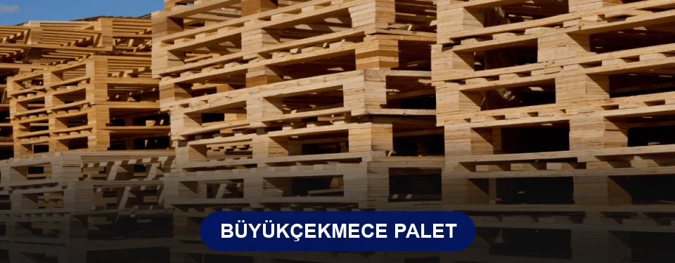 Büyükçekmece Paletçi