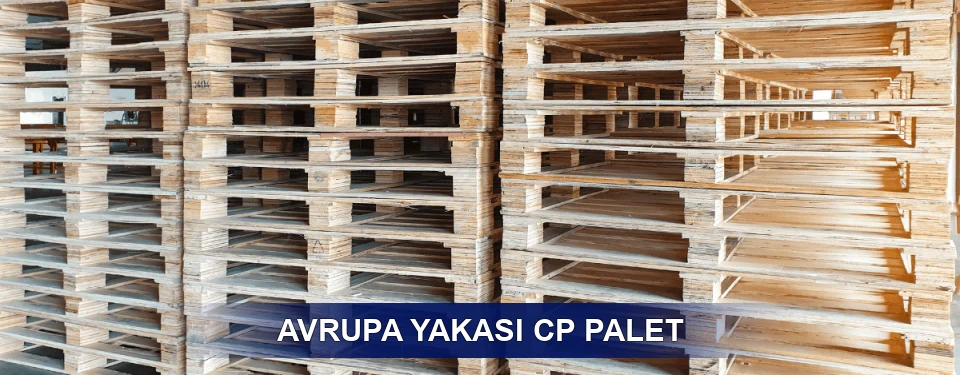 Avrupa Yakası Standart Tipler
