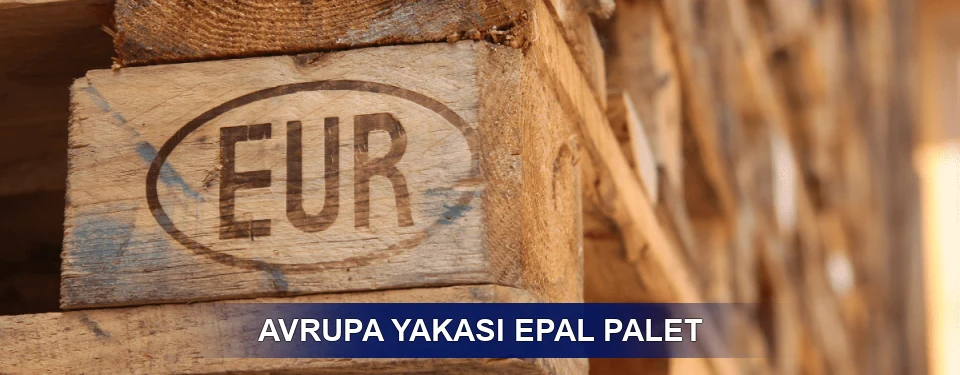 Avrupa Yakası Standart Yapı