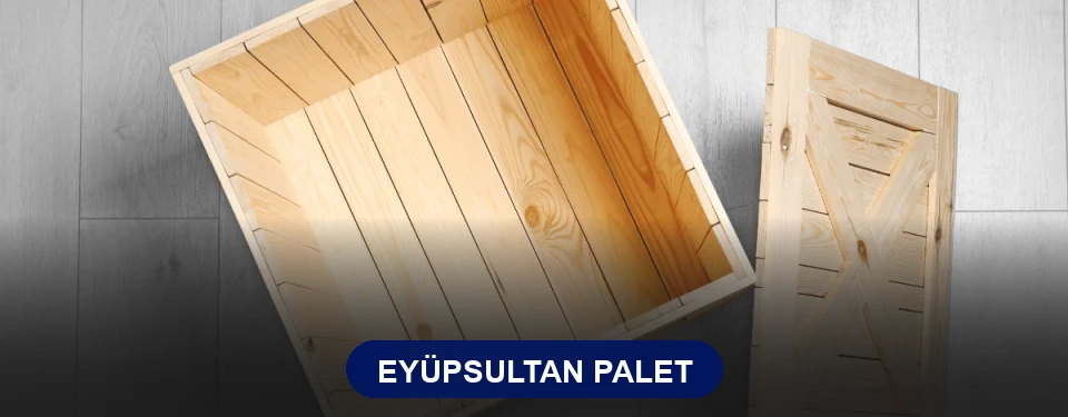 Eyüpsultan Paletçi