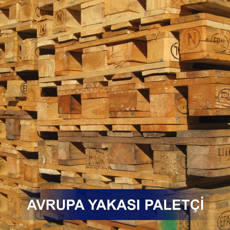 Avrupa Yakası Paletçi