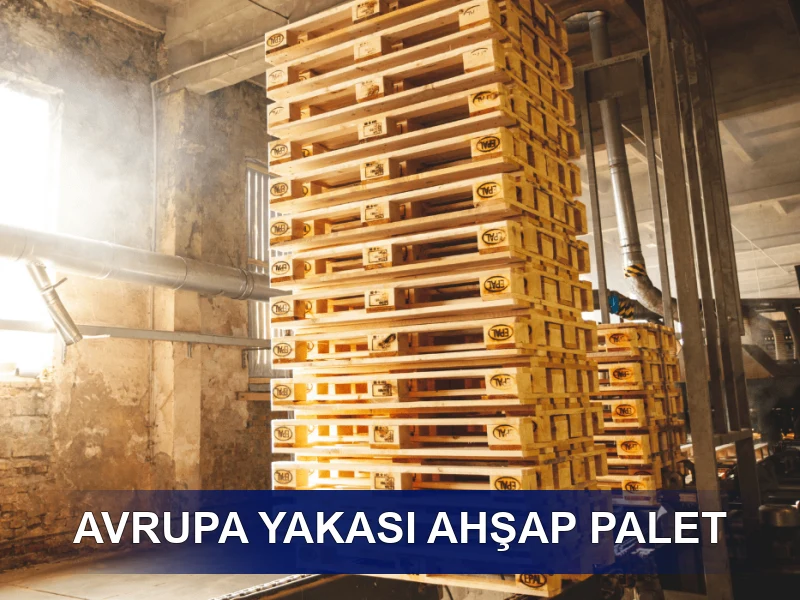 Avrupa Yakası Palet Galeri 4