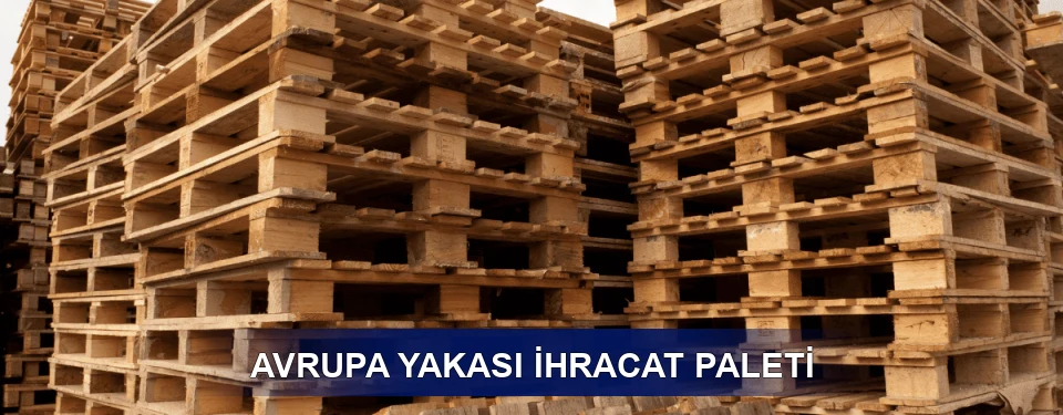 Avrupa Yakası ISPM 15 Seçimi