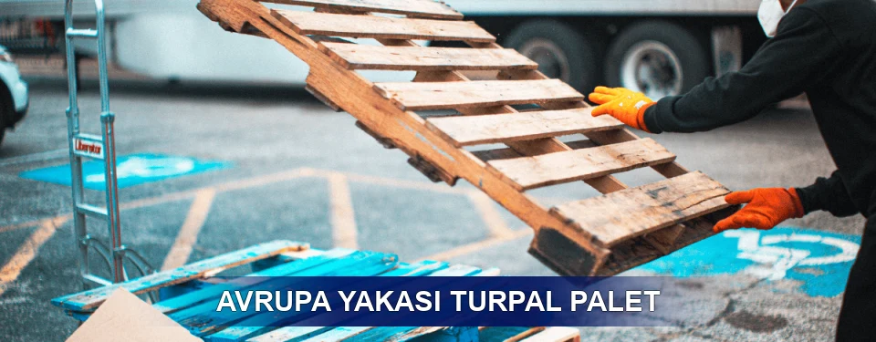 Avrupa Yakası Market Uyumu